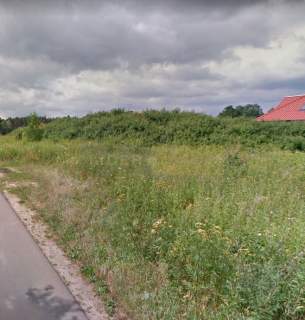 Otulina puszczy, blisko przystanek