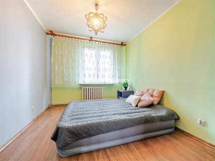 2 pok. Zielona okolica Piwnica