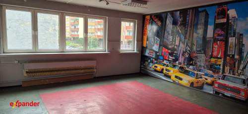 Budynek handlowo-usługowy w Centrum