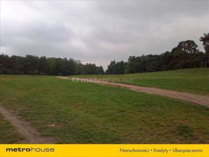 Działka rolna na sprzedaż, 79900 m2, Luciny