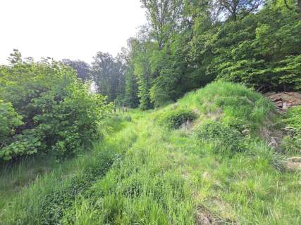 Działka 4600 m2 WZ Winnica gm Krotoszyce