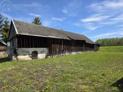 Gospodarstwo z własnym lasem - 1,25 ha spokoju i możliwości