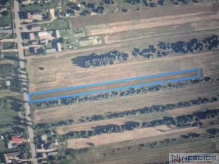 Działka rolna 5800 m2 -Dąbrowa, gm Mrozy