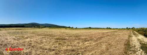 DZIAŁKA 1500 M2 W SERCU NATURY ŚWIERADÓW ZDRÓJ