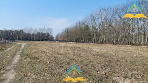 Działka budowlana na sprzedaż, 1250 m2, Korzeniówka
