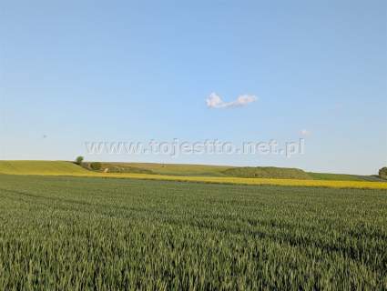 GRÓDEK, działka zabudowana 1700m2, dom budynki