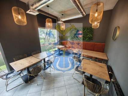 Kliny Borkowskie lokal 65m2 gastronomia / usługi