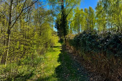WYJĄTKOWA DZIAŁKA Z WZ 3204 m2 GRABÓW NAD PILICĄ