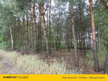Działka budowlana na sprzedaż, 1000 m2, Nowa Mała Wieś