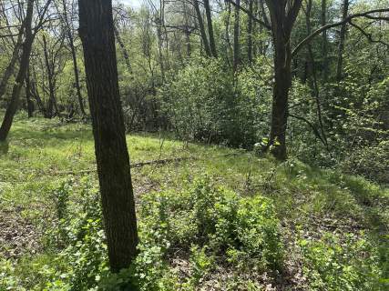 Działka Libertów, ul. Pogórze - 1,78ha w tym 11a budowlanej