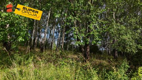 Urocza zielona działka z WZ 37,56ar Odrzykoń
