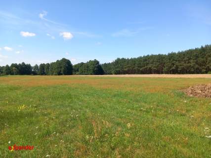 DZIAŁKA ROLNA Z MOŻL. WZ O POW. 4000 M2 BLINNO