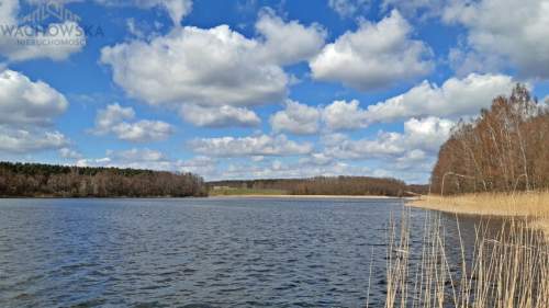 Prywatna działka nad jeziorem - prąd, pomost i las