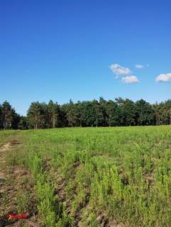 BLINNO DZIAŁKA ROLNA BEZ MPZP 1,5 HA