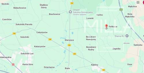 SIEDLISKO Z POTENCJAŁEM 3000 m WŁADYSŁAWÓW, GMINA ZGIERZ