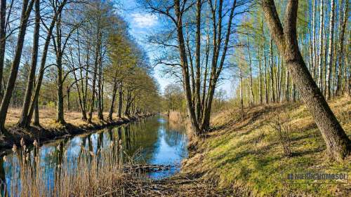 Wyjątkowa działka nad rzeką i z własnym lasem.