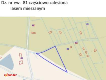 Spokojne działki w Lesie - Siedlisko