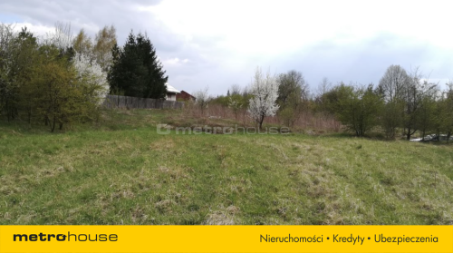 Działka na Jurze- Kromołów