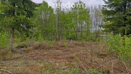 Twoje miejsce ciszy 750m od jeziora Warmia Mazury