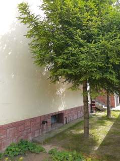 Radom / os. Żakowiece / dom wolnostojacy / 6 pokoi