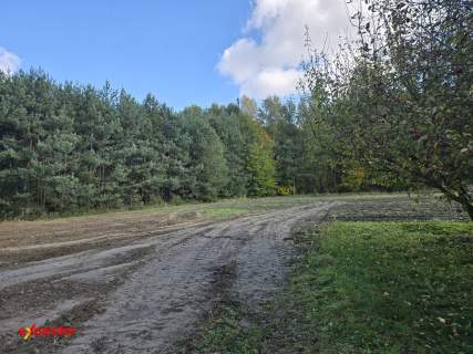 1,5km od szkoły w Wierzchowisku