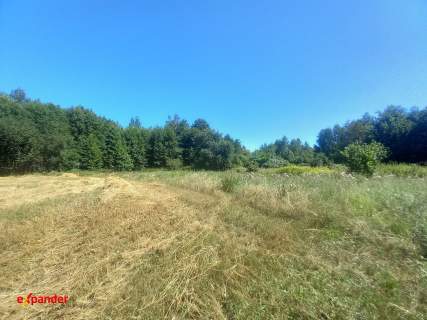 DZIAŁKA ROLNA Z MOŻL. UZYSKANIA WZ 5022 M2 I INNE