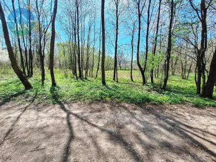 Doświadczaj Beskidów - 60 arów naturalnej wolności