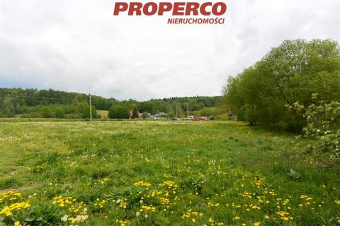 Działka 1600 m2, Cisów, gm. Daleszyce