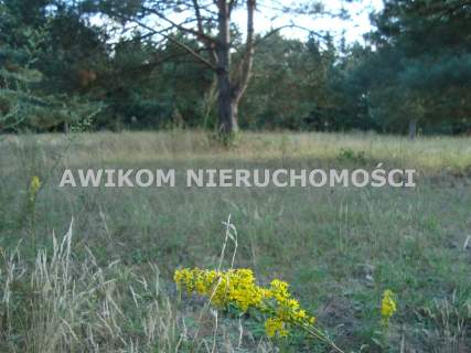 Działka budowlana na sprzedaż, 1353 m2, Ojrzanów