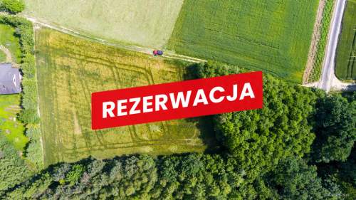 Na sprzedaż działka 79 arów- Domosławice