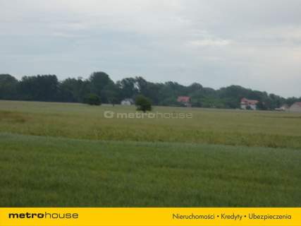 Działka budowlana na sprzedaż, 1000 m2, Nowa Mała Wieś