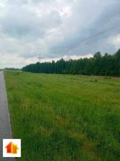 Grodzisko Dolne - Działka pod lasem- 47,20 ar z WZ