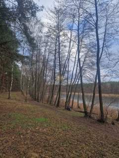 PIĘKNY, FUNKCJONALNY DOM MŁYNIEC II, DZIAŁKA 3100