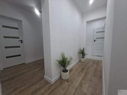 Mieszkanie w Centrum Katowic - 4 pokoje - 2 łazienki