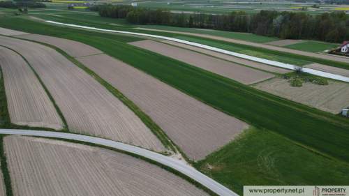 Działka 39 ar z WZ, Wola Wielka, gm. Żyraków