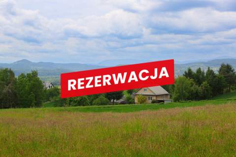 Na sprzedaż działka 79 arów- Domosławice