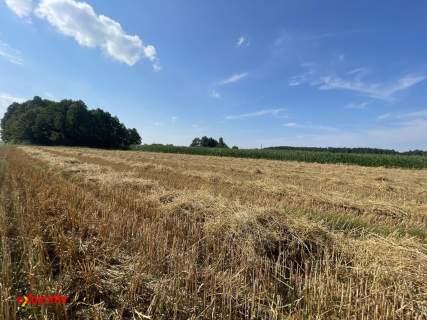 Na sprzedaż działki budowlane   Stropieszyn