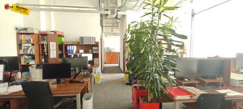 Lokal handlowy, biuro witryna parking