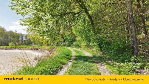 Niepowtarzalna okazja 2 stawy rybne i las 3,15ha