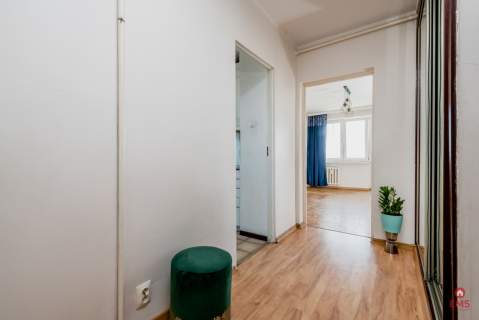 3 pokoje, Młodych