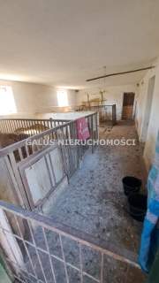 Działka rolna 2,5200 HA i gospodarstwo