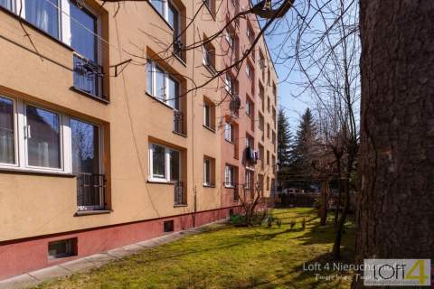 Cichy parter w centrum miasta z zielonym widokiem