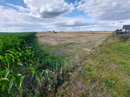 Dom z działką około Gniezna 115m2