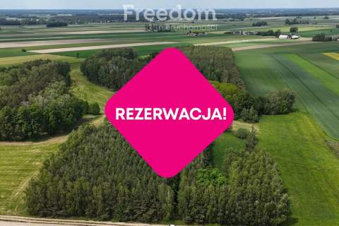 Urokliwe siedlisko w pobliżu rzeki Liwiec