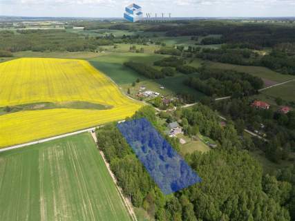 Twoje miejsce w naturze   Ostrowite