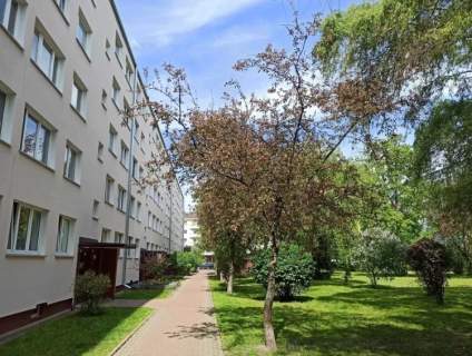 3-pokojowe mieszkanie na Ursusie