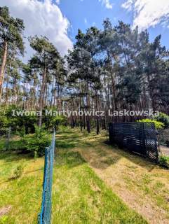 Działka rekreacyjna pod lasem - 60 km od Wrocławia
