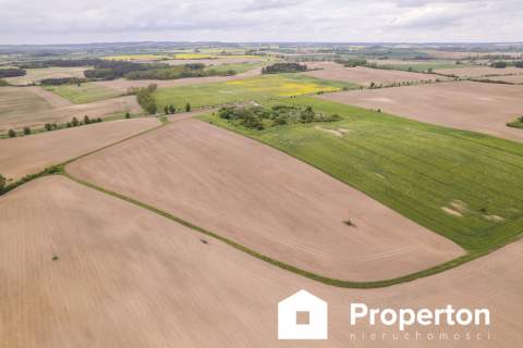Działka w Cedyni 5,36ha z warunkami zabudowy