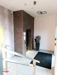 Biuro 360 m2 ulica Litewska