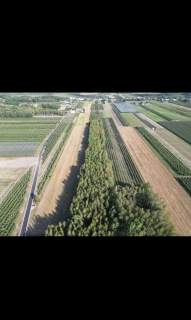 Sprzedam dwie działki w pakiecie, po 3000 m2 każda Piekut